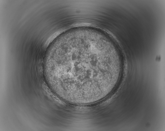 X0000115070921200911171127