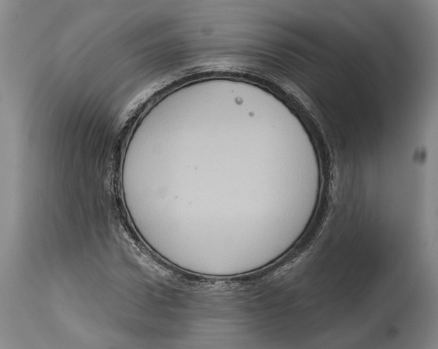 X0000115070922200911171127