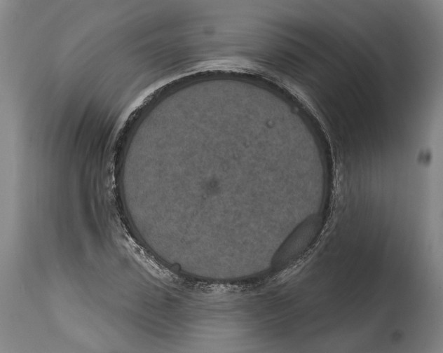 X0000115070923200911171127