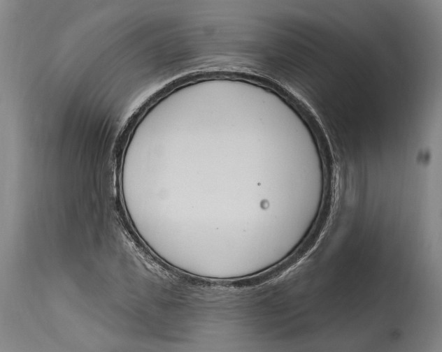 X0000115070925200911171127