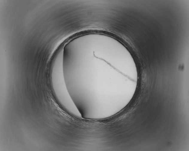 X0000115070926200911171127