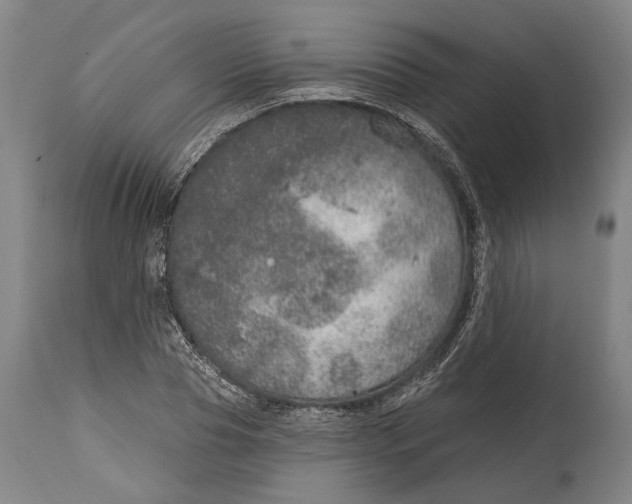X0000115070929200911171127
