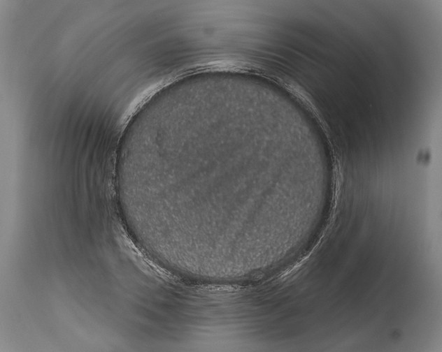 X0000115070930200911171127