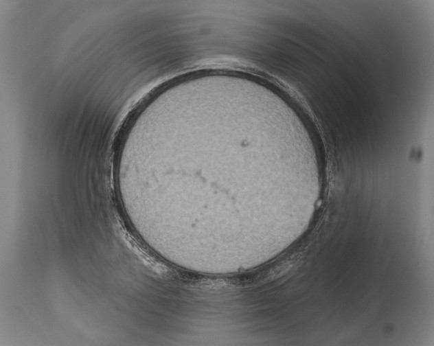 X0000115070931200911171127