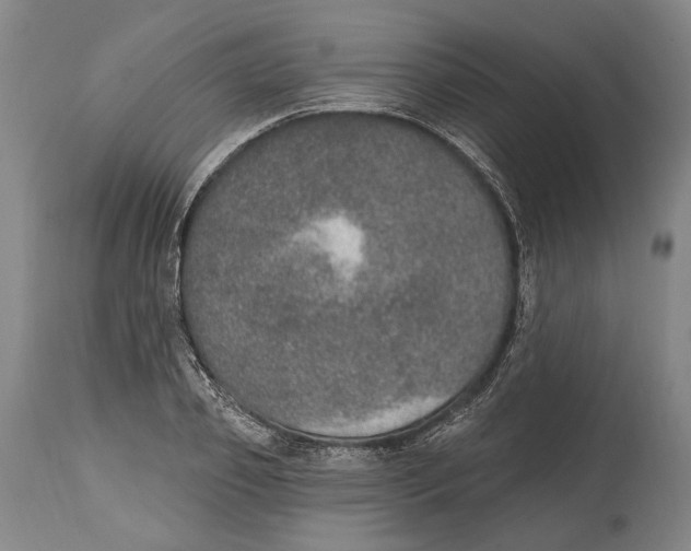X0000115070933200911171127