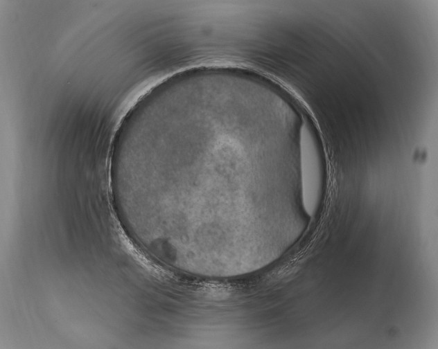 X0000115070935200911171127