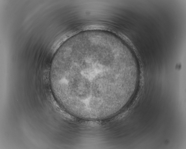 X0000115070937200911171127