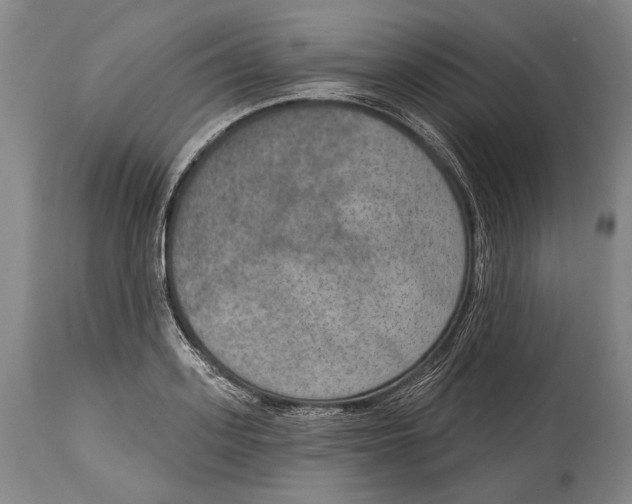 X0000115070939200911171127