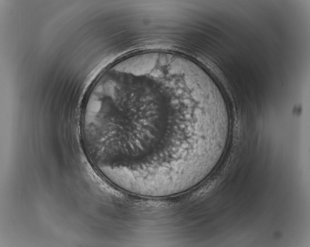 X0000115070941200911171127