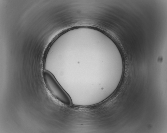 X0000115070942200911171127