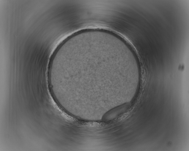 X0000115070943200911171127