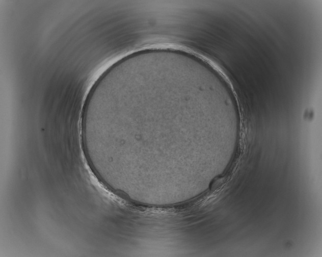 X0000115070951200911171127