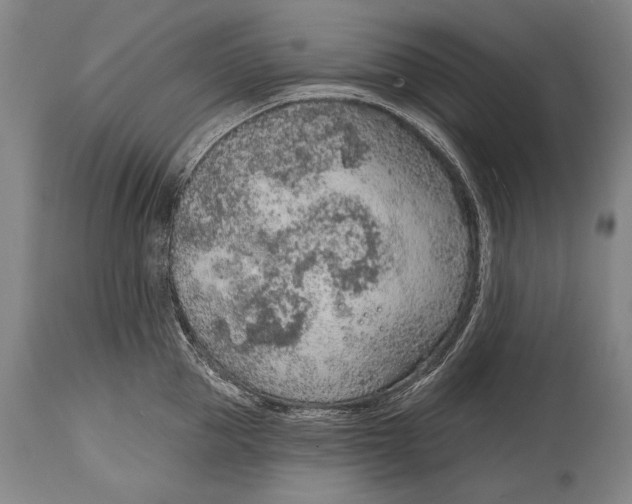 X0000115070953200911171127
