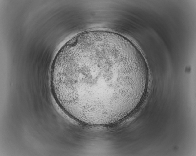 X0000115070957200911171127