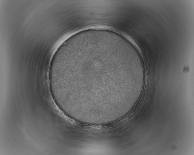 X0000115070959200911171127