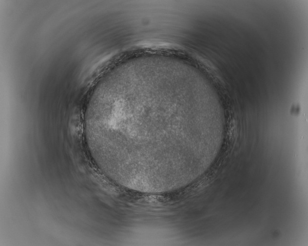 X0000115070966200911171127