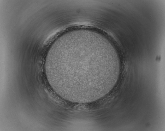 X0000115070967200911171127