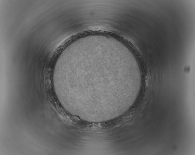 X0000115070968200911171126