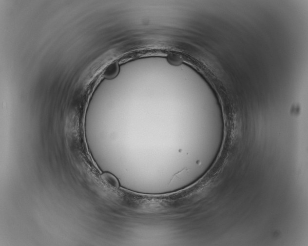 X0000115070969200911171126