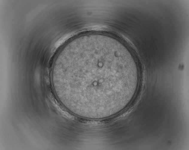 X0000115070970200911171126