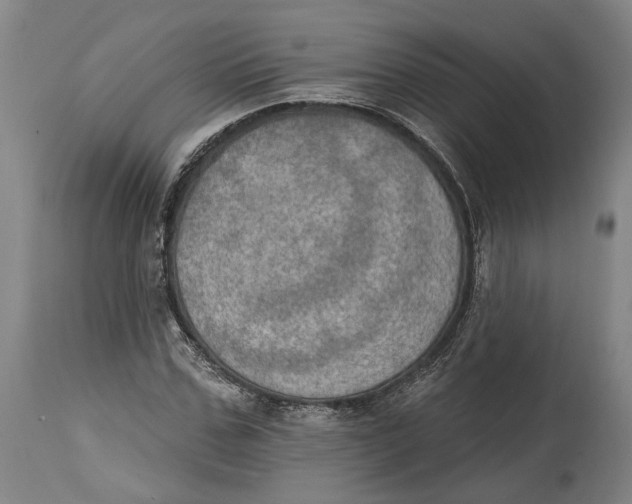 X0000115070971200911171126