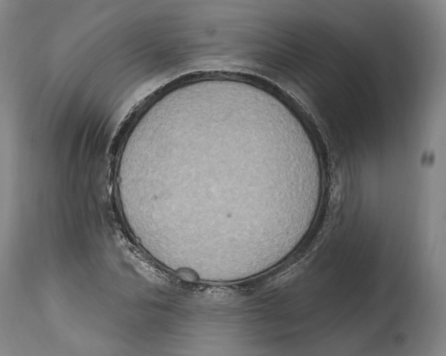 X0000115070974200911171126