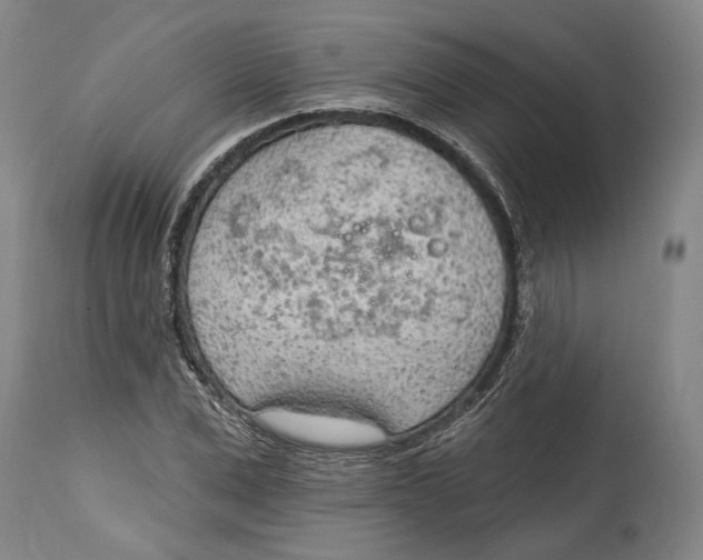 X0000115070975200911171126