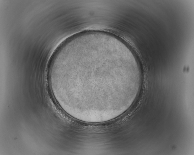 X0000115070976200911171126