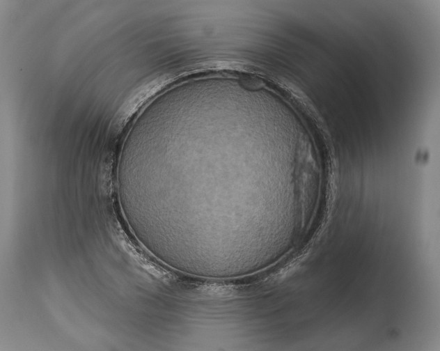 X0000115070977200911171126
