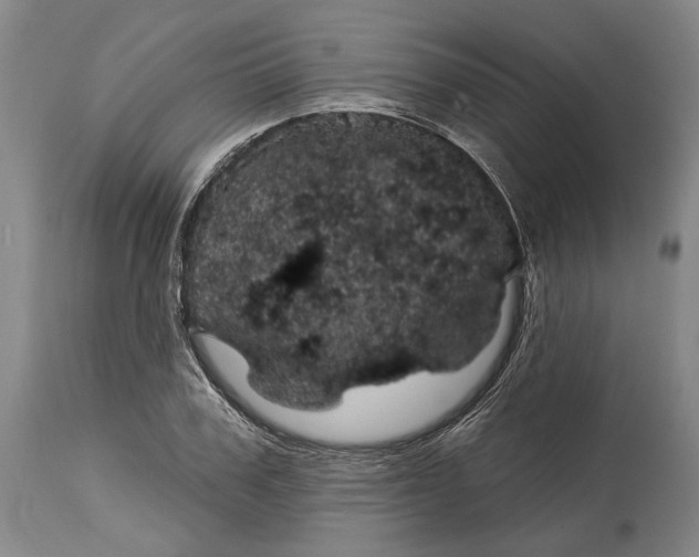X0000115070979200911171126