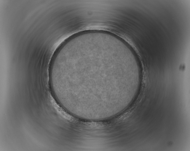 X0000115070980200911171126