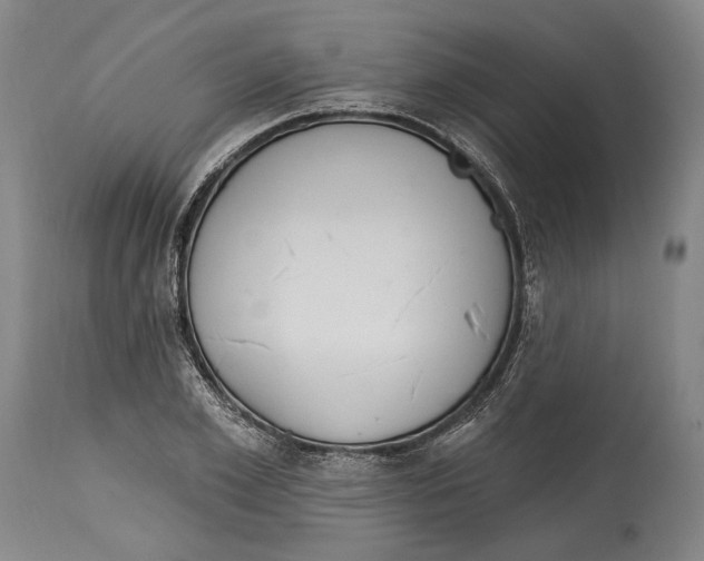 X0000115070981200911171126