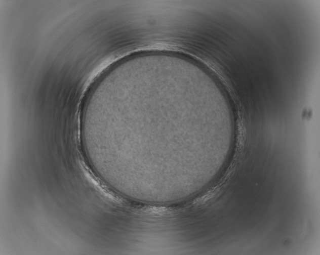 X0000115070982200911171126