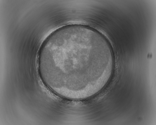X0000115070983200911171126