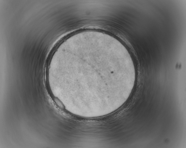 X0000115070984200911171126