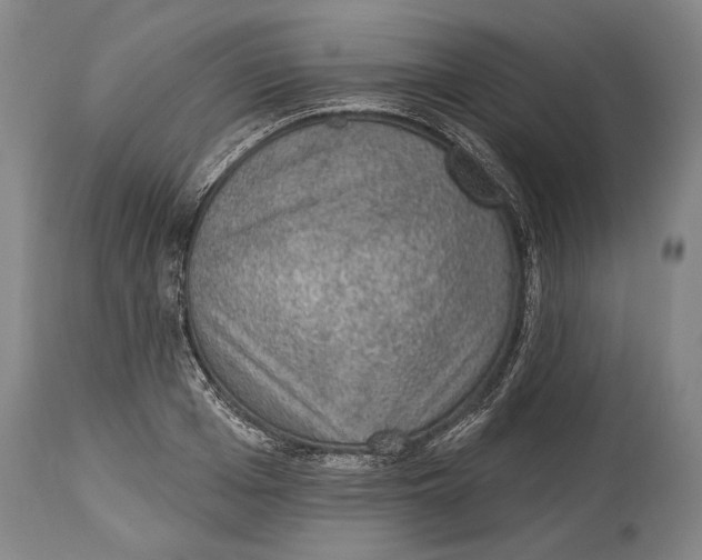 X0000115070985200911171126