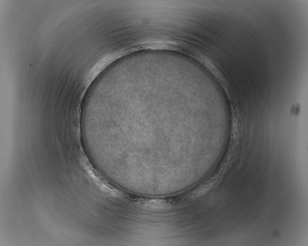 X0000115070986200911171126