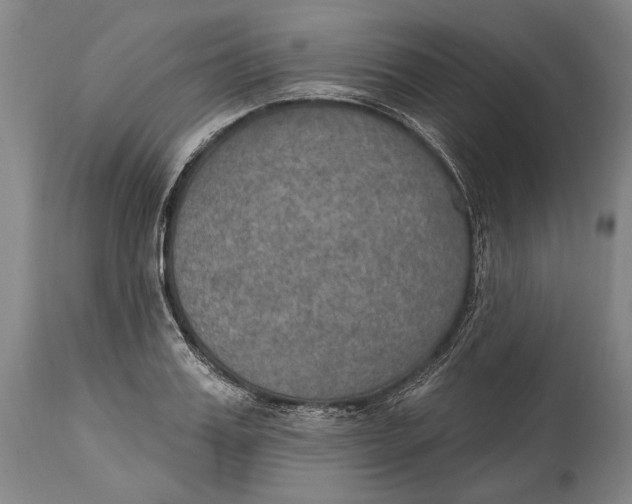 X0000115070987200911171126