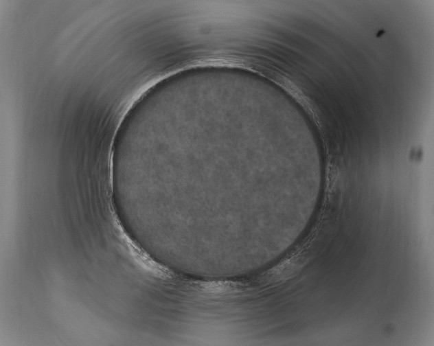 X0000115070988200911171126