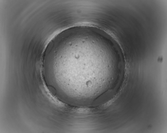 X0000115070989200911171126