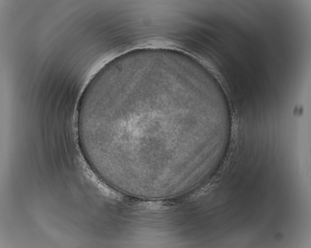 X0000115070990200911171126