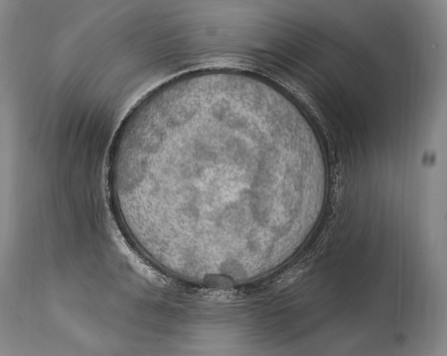 X0000115070991200911171126