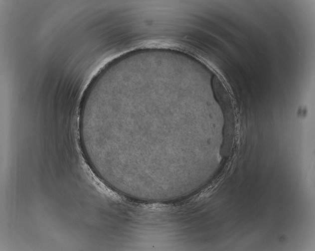 X0000115070992200911171126