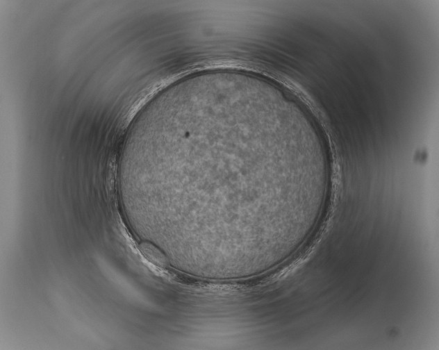 X0000115070993200911171126