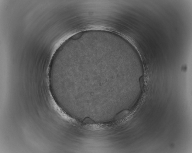 X0000115070995200911171126