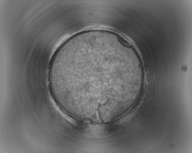 X0000115070997200911171126