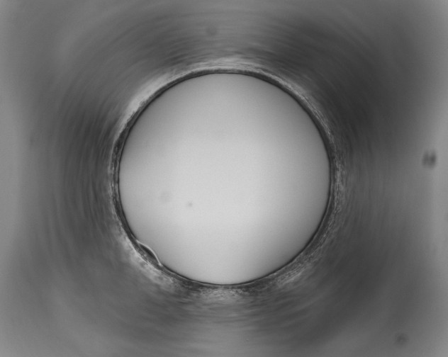 X0000115070998200911171126