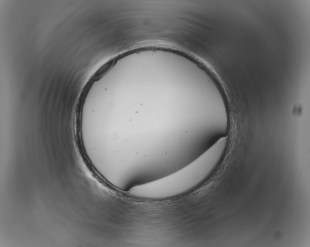 X0000115070999200911171126