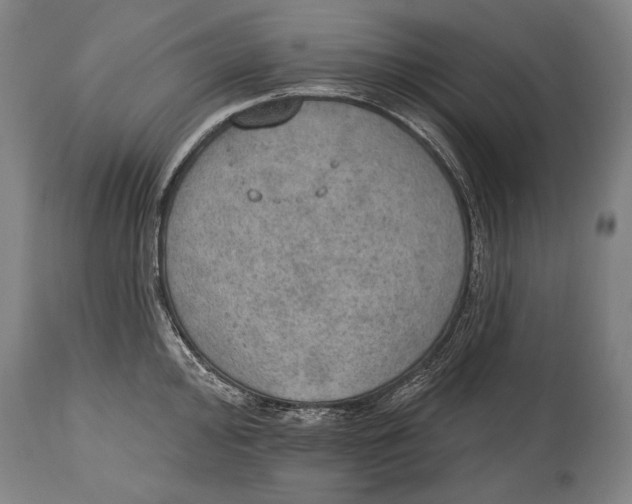 X0000115071000200911171126