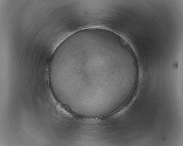 X0000115071001200911171126